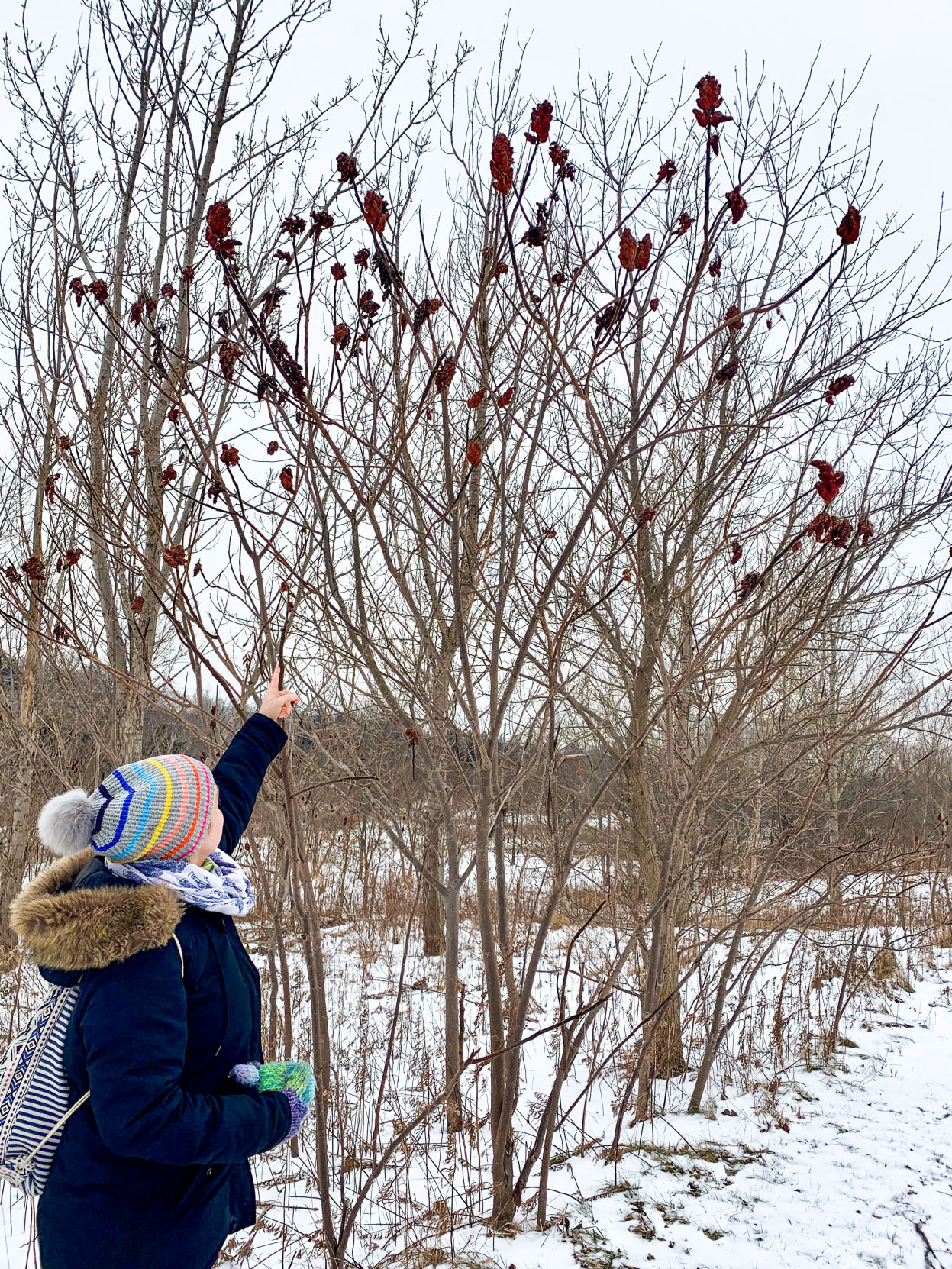 Nature Walk Series (2 of 4)